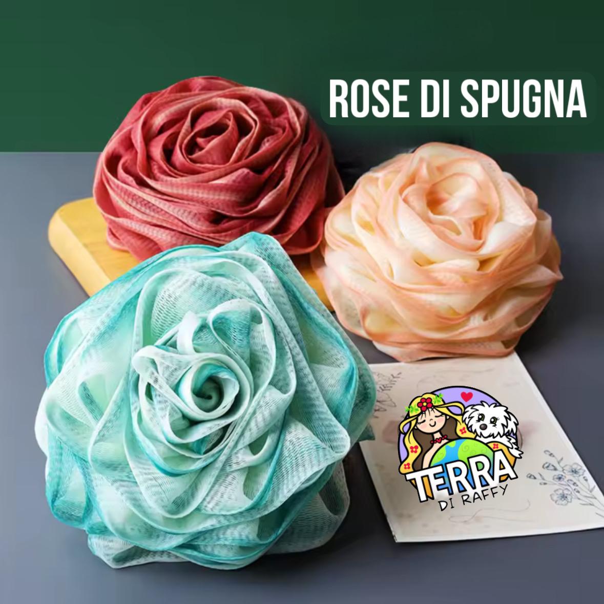 Rosa-di-spugna-2