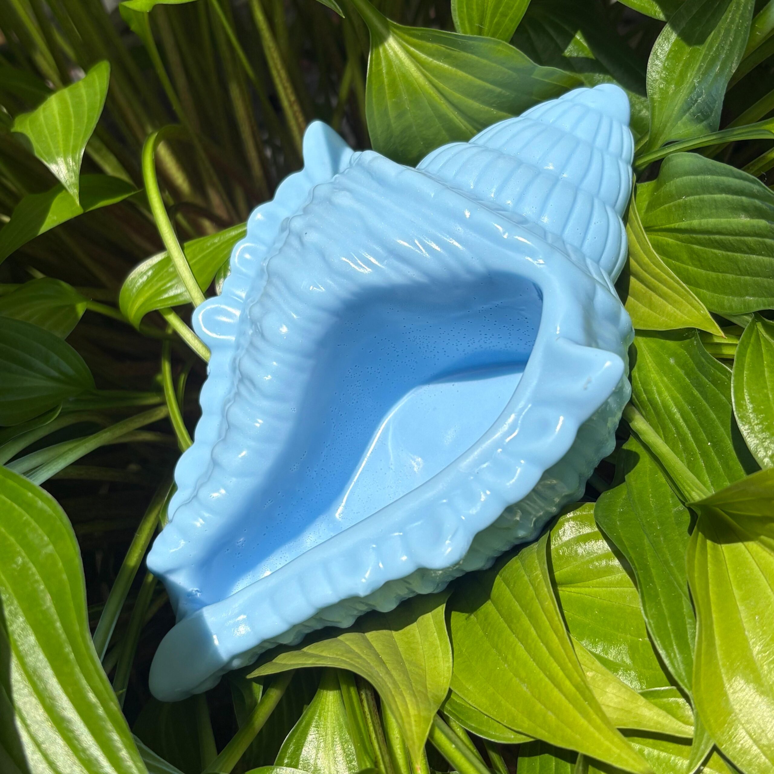 Sapone-artigianale-latte-di-capra-conchiglia-grande-acqua-di-luna-ambient1