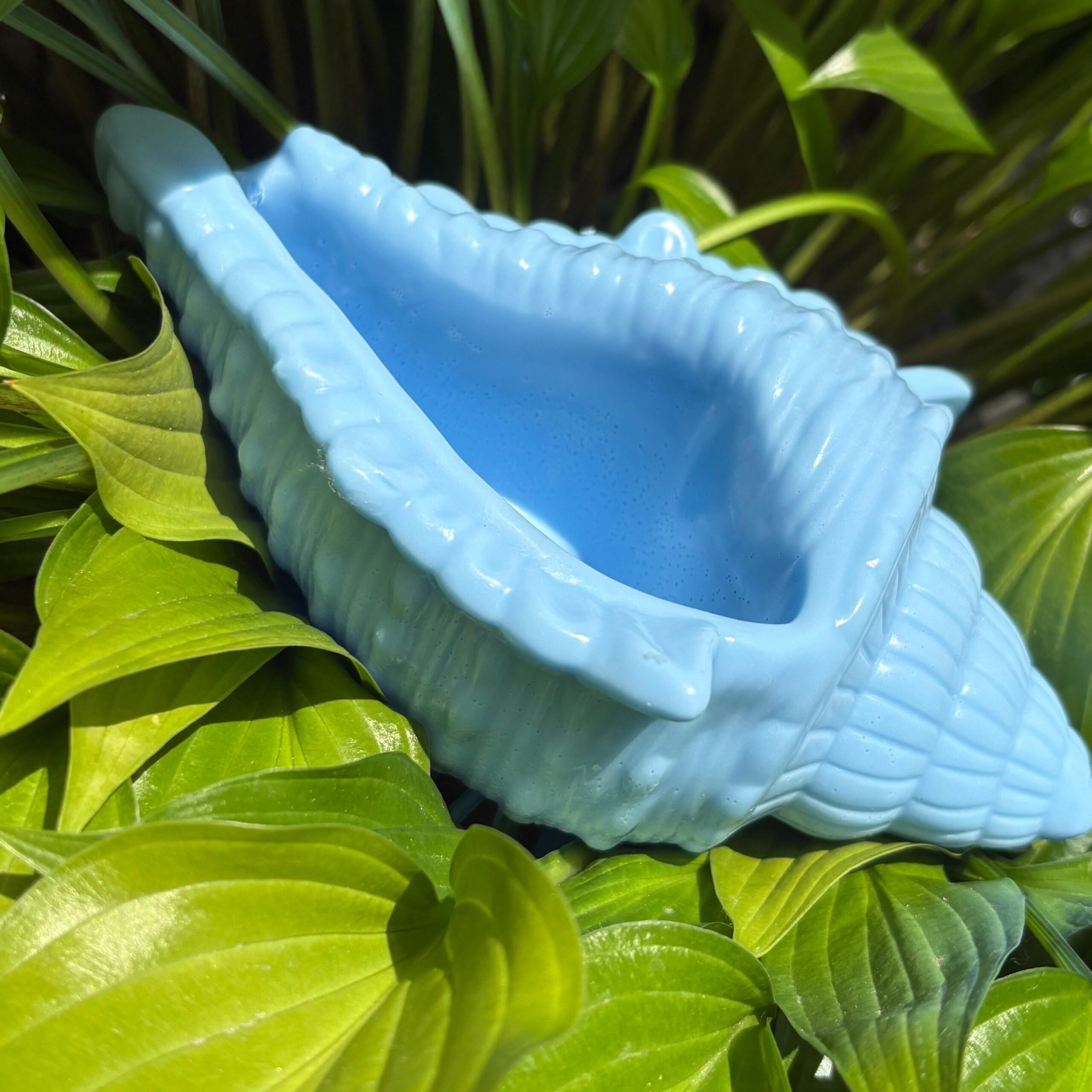 Sapone-artigianale-latte-di-capra-conchiglia-grande-acqua-di-luna-ambient2