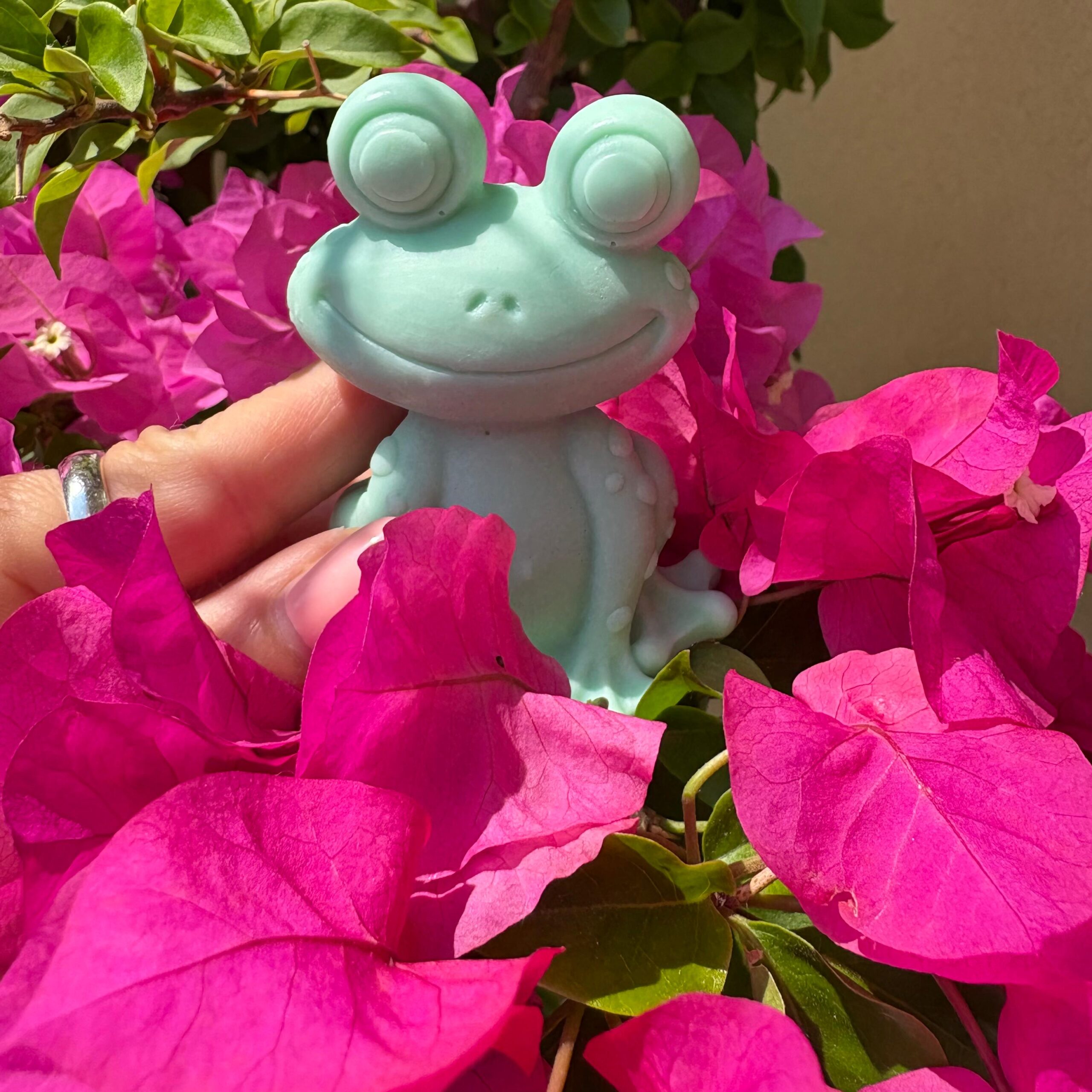 Sapone-artigianale-latte-di-capra-rana-bosco-di-cedri-ambient