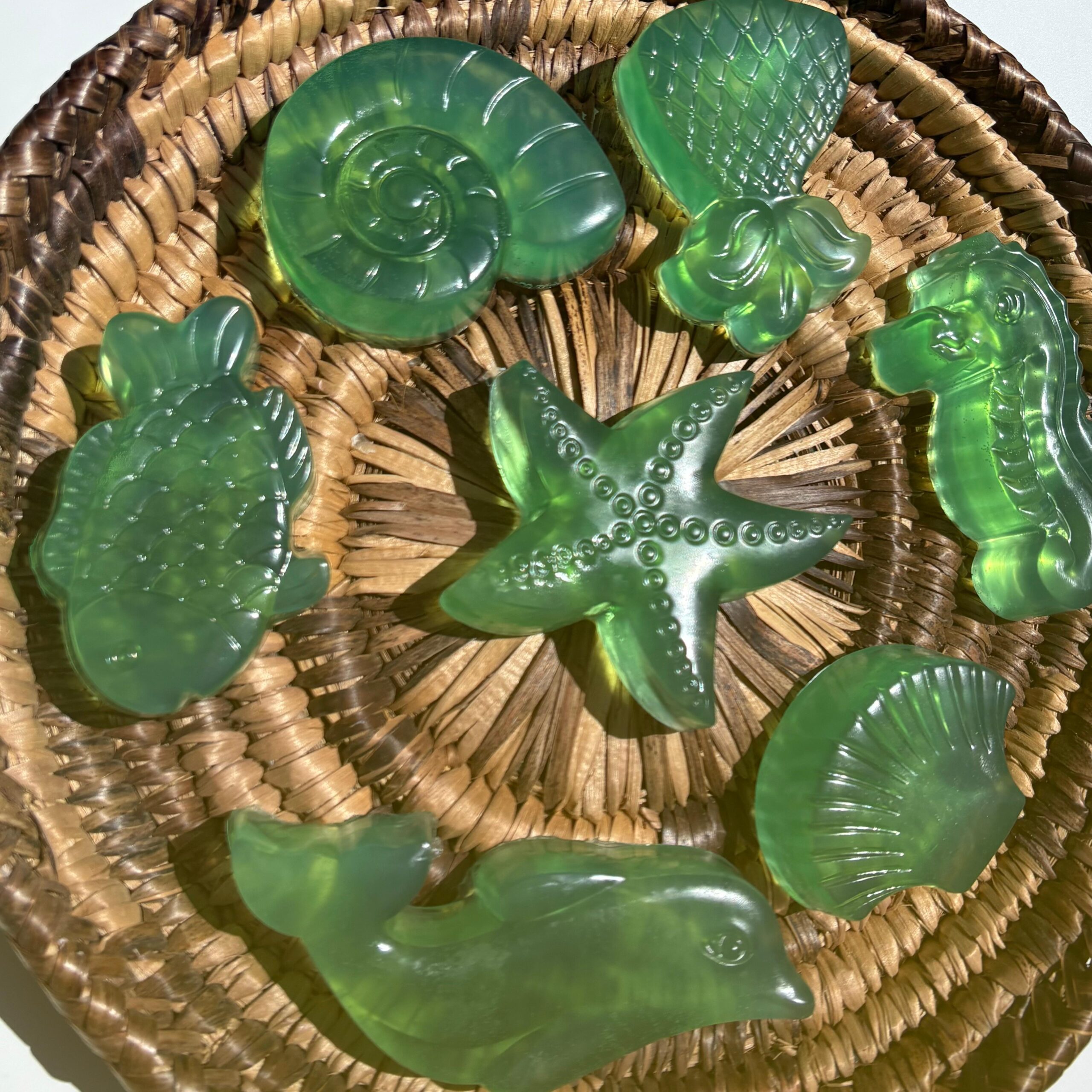 Sapone-artigianale-vegetale-forme-di-mare-vassoio1