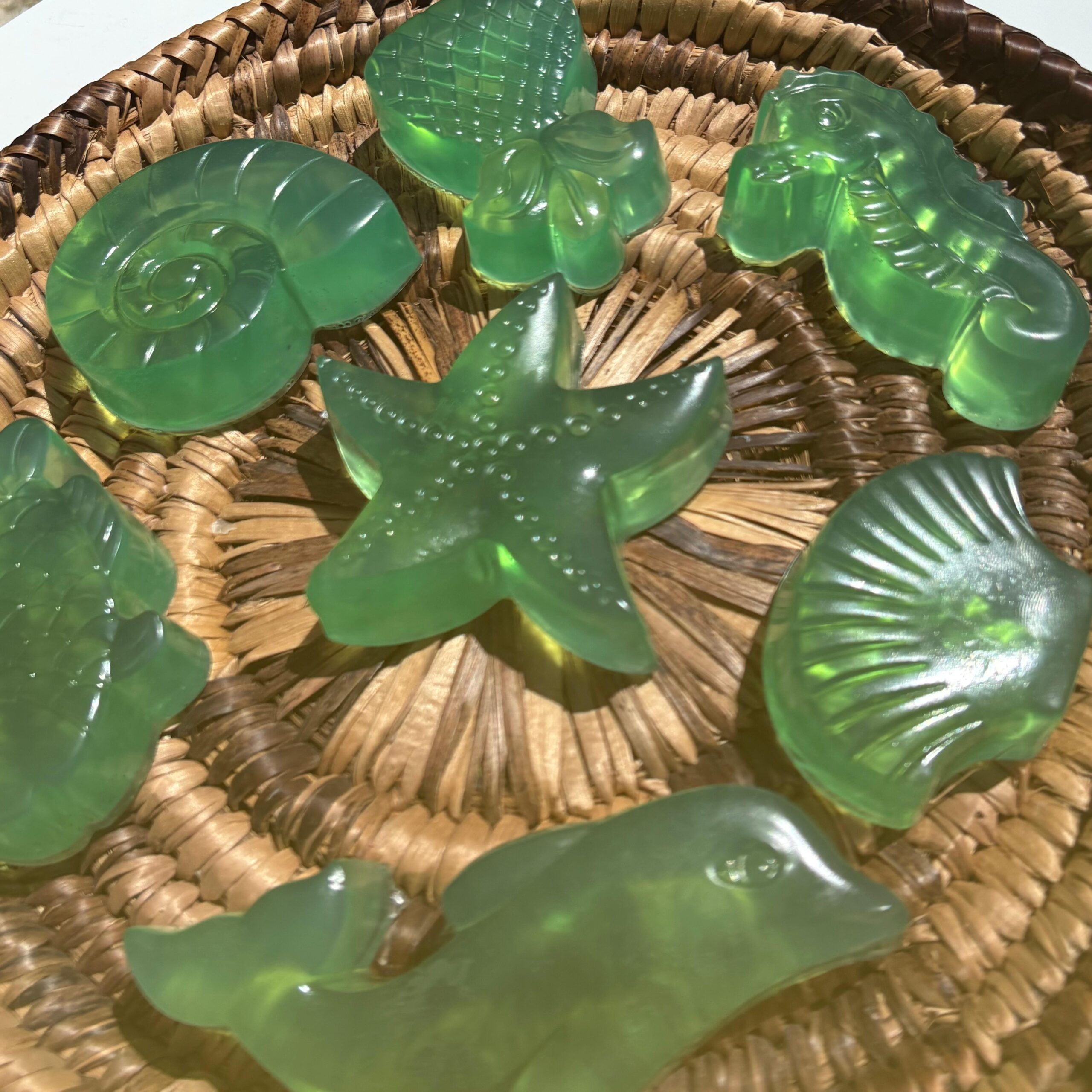 Sapone-artigianale-vegetale-forme-di-mare-vassoio2