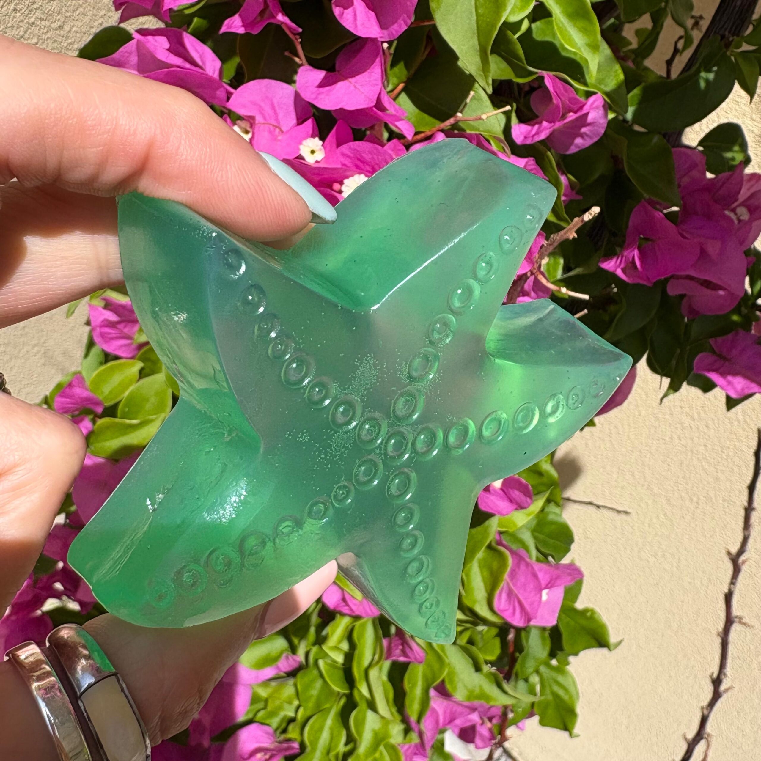 Sapone-artigianale-vegetale-forme-di-mare-vassoio3